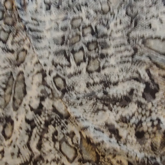 Snake Skin Print Tahari Sheer Blouse Size Small - Picture 2 of 6
